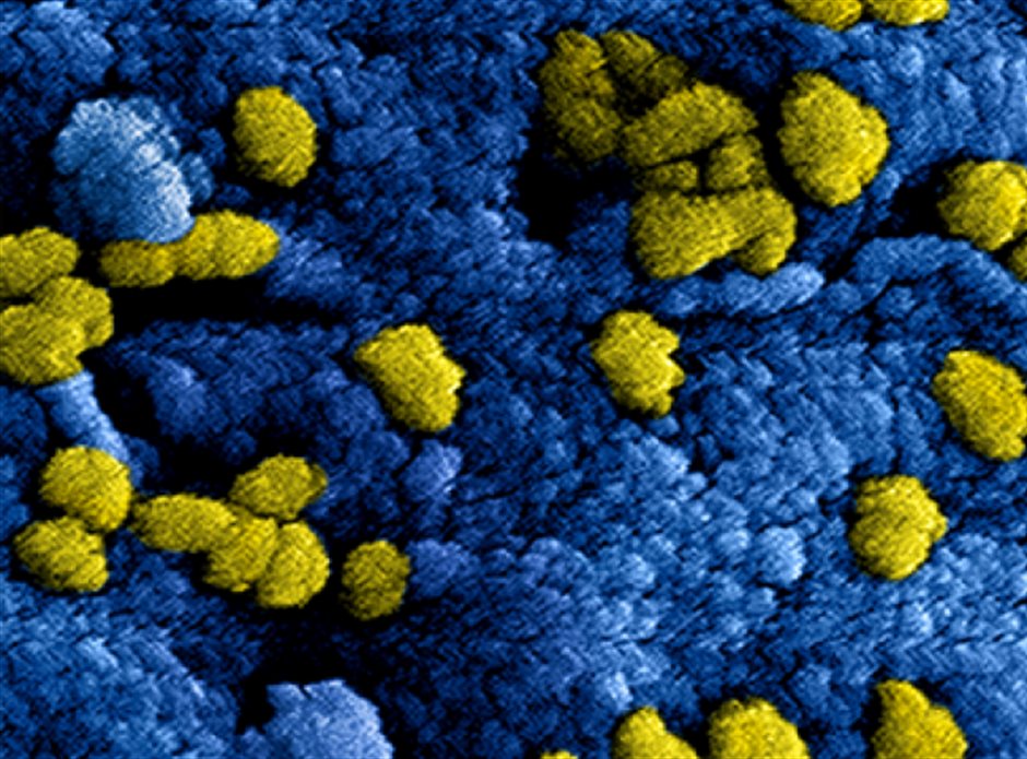 nieuw_coronavirus_in_china